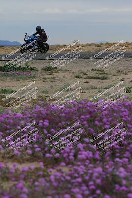 media/Jan-14-2023-SoCal Trackdays (Sat) [[497694156f]]/Turn 14 Exit Bloomig (145pm)/